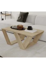 Modern Plywood Rectangle Coffee Table - Image 3