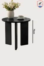 Modern Minimalist Polywood Coffee Table White Oak - Image 2
